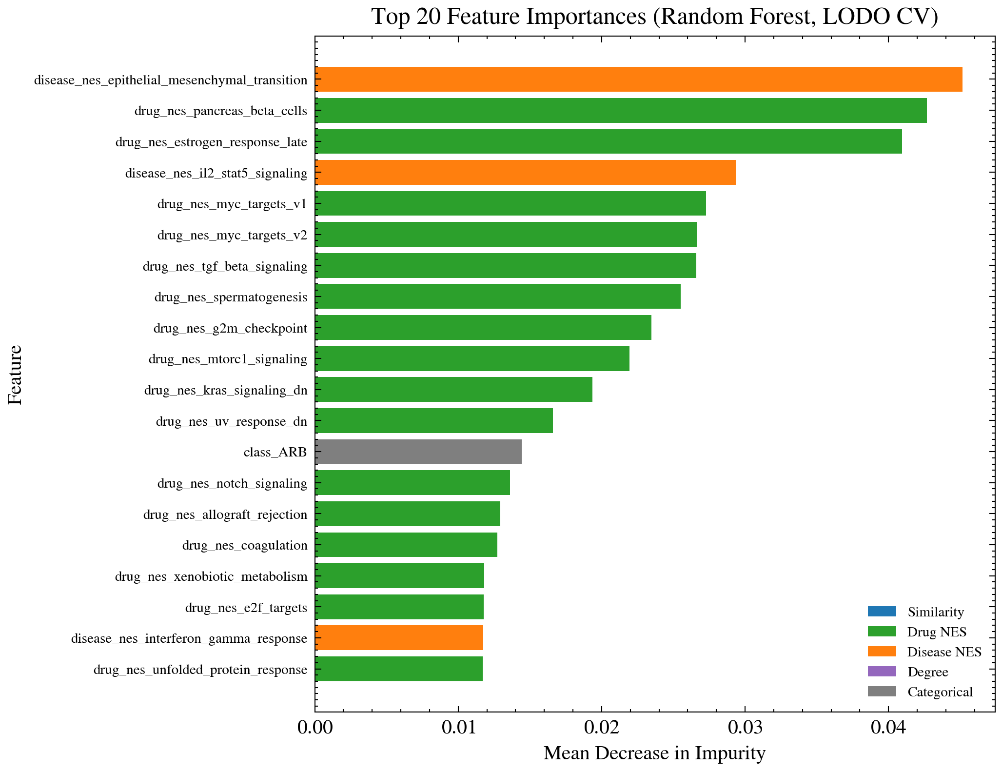 Feature importance scores from the Random Forest model